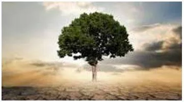 Thriving - Prosperous and growing.