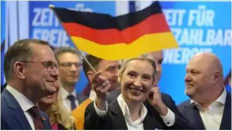 'we have achieved something historic'  germany's afd celebrates record gains