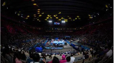 Ioc grants provisional recognition to world boxing