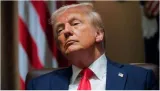 Trump confirms tariffs for mexico  canada on march 4  china to get extra 10%