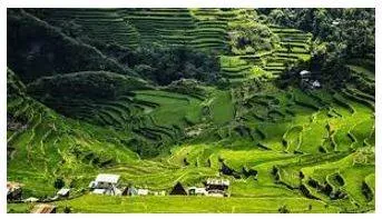 Province - A principal administrative division of a country or empire. (प्रांत) 