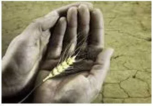 Starvation - Suffering or death caused by lack of food. (भुखमरी)