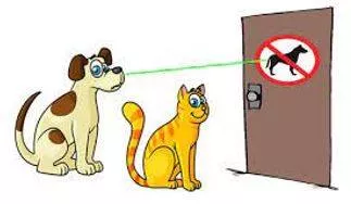 Pertain - To exist or apply in a particular situation or at a particular time (संबंधित) 