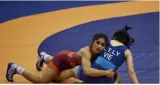 After 15 months of suspension  wrestlers get a federation again