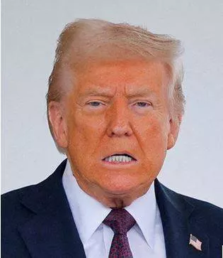 Trump doubles u s  tariffs on canadian steel and aluminium