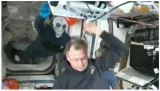 'alien' greets spacex crew as nasa stranded astronauts sunita williams  butch wilmore await return to earth