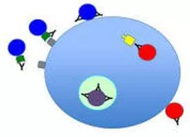 Neutral - Make (something) ineffective by applying an opposite force or effect.