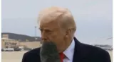 Maga activists hunt down woman who 'accidentally' hit donald trump with her mic  'a massive hater'