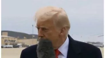 Maga activists hunt down woman who 'accidentally' hit donald trump with her mic  'a massive hater'