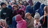 Pakistan has stepped up pressure on afghan refugees to return  rights group