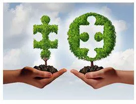 Affiliated - Connected with or controlled by a group or organization.