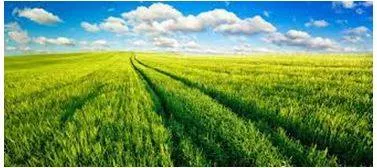Vast - Of very great extent or quantity. (विशाल) 