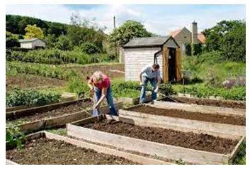Allotted - A plot of land rented by an individual for growing vegetables or flowers. (आवंटन)