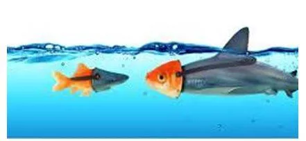 Deceived - Giving an appearance or impression different from the true one.