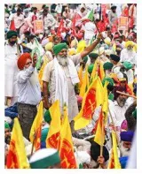Lowering tariff will harm interests of farmers  says skm