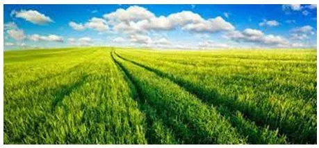 Vast - Of very great extent or quantity.