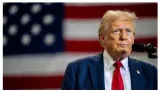 Ashutosh varshney writes  democracy has provided the rationale for tariffs  it will produce a reaction against it