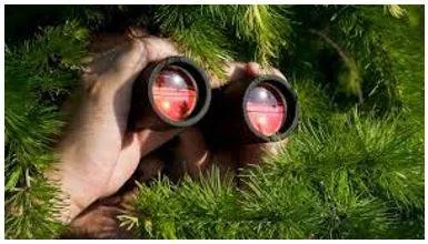 Reconnaissance - The process of getting information about enemy forces or positions by sending out small groups of soldiers or by using aircraft, etc.