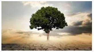 Thrives - Prosperous and growing.