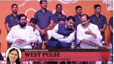Shiv sena  ncp at loggerheads  why latest mahayuti row is playing out over ladki bahin yojana