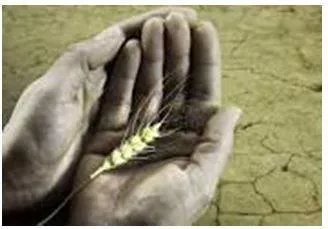 Starvation - Suffering or death caused by lack of food. (भुखमरी)