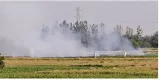 Punjab  haryana  u p  asked to set up ‘parali protection force’ to put an end to crop burning