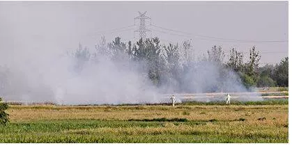 Punjab  haryana  u p  asked to set up ‘parali protection force’ to put an end to crop burning