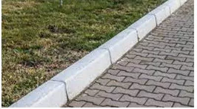 Curb - A check or restraint on something. (नियंत्रण) 