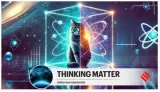 The universe  the atom  and a cat both dead and alive  understanding quantum mechanics