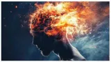 This is the best way to reduce brain fog  says study