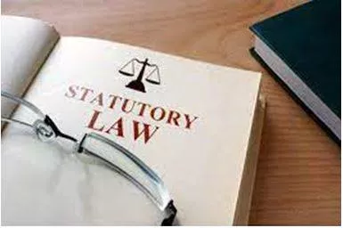 Statutory - Required, permitted, or enacted by statute.