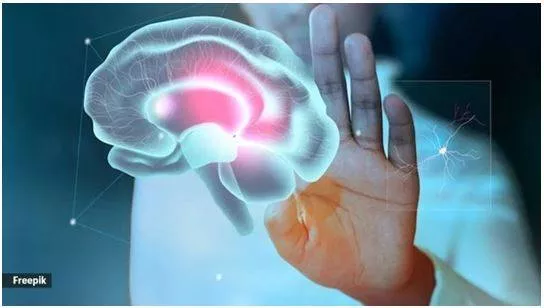 5 things you must do for your brain in your 30s