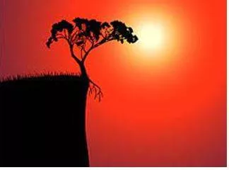 Brink - The extreme edge of land before a steep slope or a body or water. (कगार)