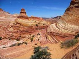 Erosion - Gradually wear away (soil, rock, or land).