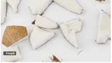 Why you should add pieces of dry coconut to your diet