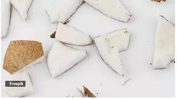 Why you should add pieces of dry coconut to your diet
