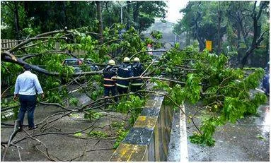 Imd retains ‘above normal’ rainfall outlook for monsoon 