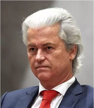 Dutch govt  falls as far right leader wilders quits coalition