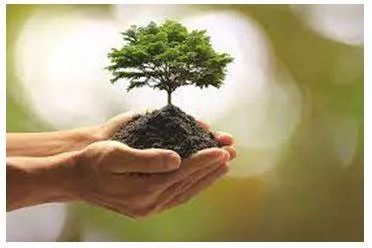 Prosperity - Successful in material terms