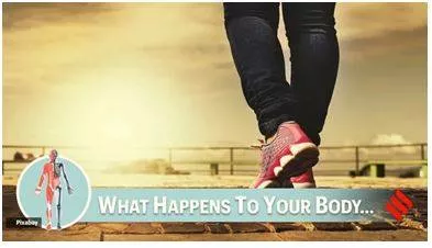 This is what happens to the body if you walk 7 000 steps every day for 2 months  including weekends