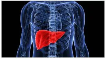 Can fatty liver disease affect children  doctor busts 3 myths  shares facts