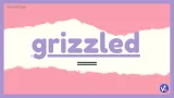 Grizzled 