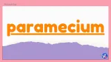 Paramecium