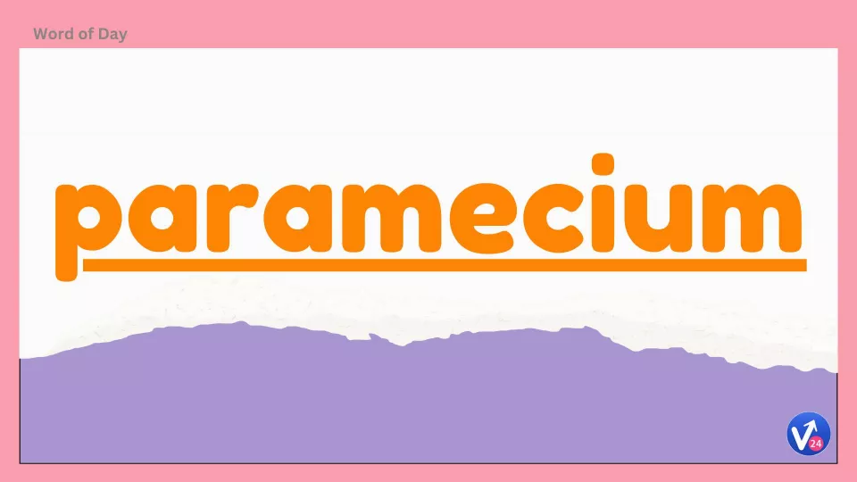 Paramecium