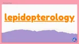 Lepidopterology