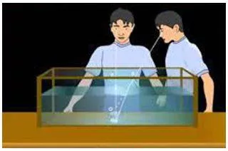 Apparent - Clearly visible or understood. (स्पष्ट) 