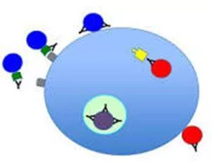 Neutralizing - Make (something) ineffective by applying an opposite force or effect. (निष्क्रिय)