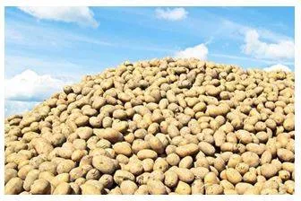 Plethora - A large or excessive amount of something. (अधिकता)