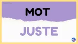 Mot juste