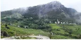 Kerala launches drive to brand munnar as ‘responsible tourism destination’